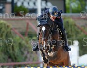 ARIOLDI F AGADIR CampITA2013- S5 1260 : AGADIR, ARIOLDI FRANCESCA, Campionati Italiani 2013, Cattolica, Horse Riviera Resort, foto di Stefano Secchi ©